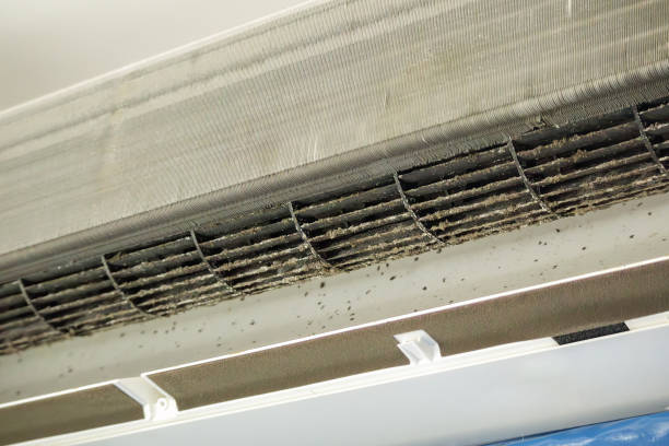 Best Ventilation Cleaning Services  in Indiana, PA